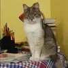 Отзыв от Ульяна Соловьева